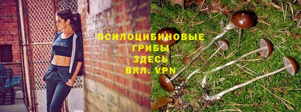 винт Вязьма