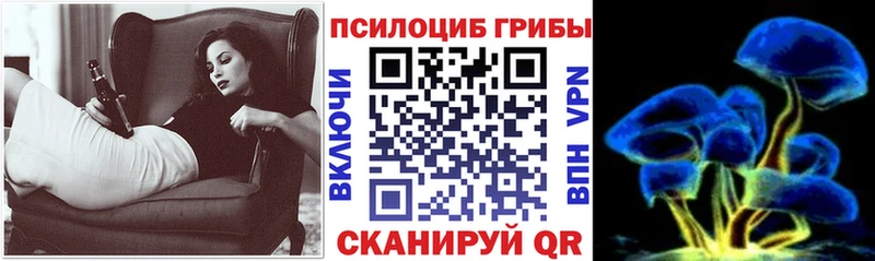 Купить закладки  Куровское  Галлюциногенные грибы Cubensis 